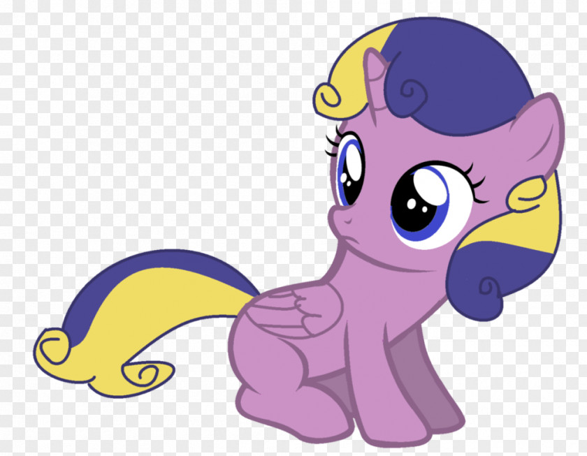 My Little Pony Twilight Sparkle Princess Cadance Rainbow Dash PNG