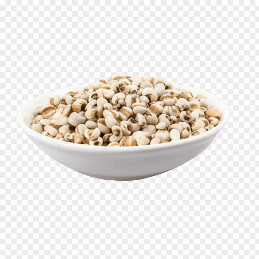 Barley Bowl Coix Lacryma-jobi Grain Cereal PNG