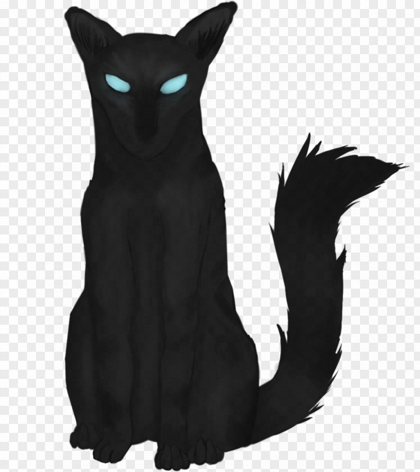 Bombay Cat Black Korat Domestic Short-haired Whiskers PNG