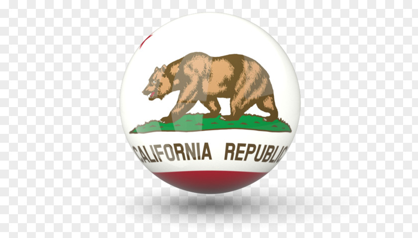 Flag California Republic Of The United States PNG