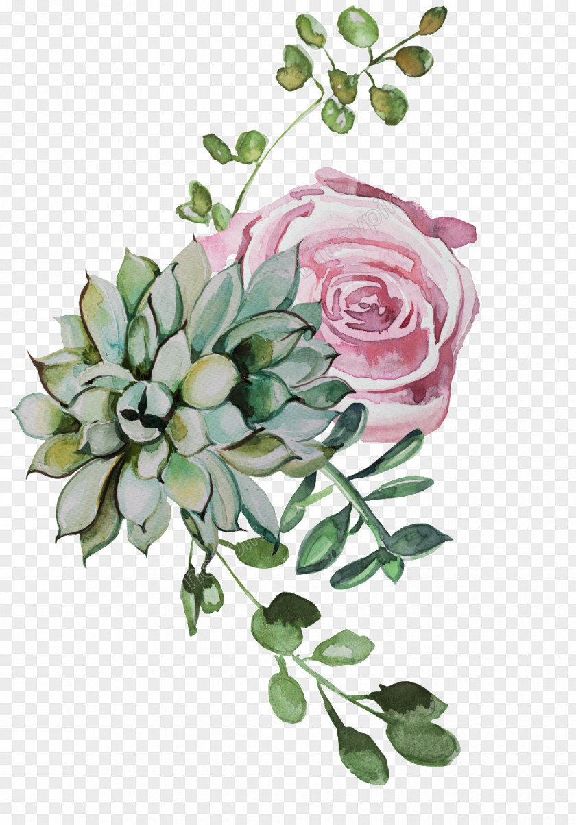 Garden Roses Image Download PNG