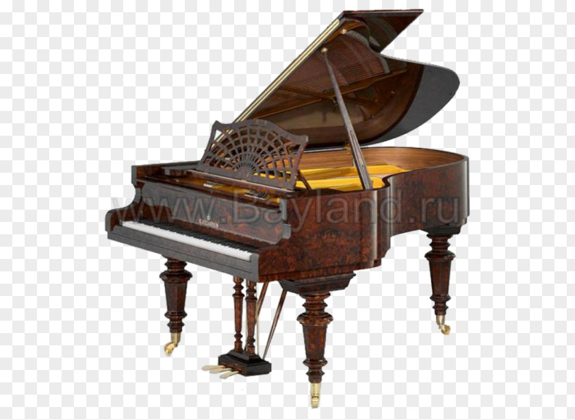 Piano Grand C. Bechstein Steinway & Sons Blüthner PNG
