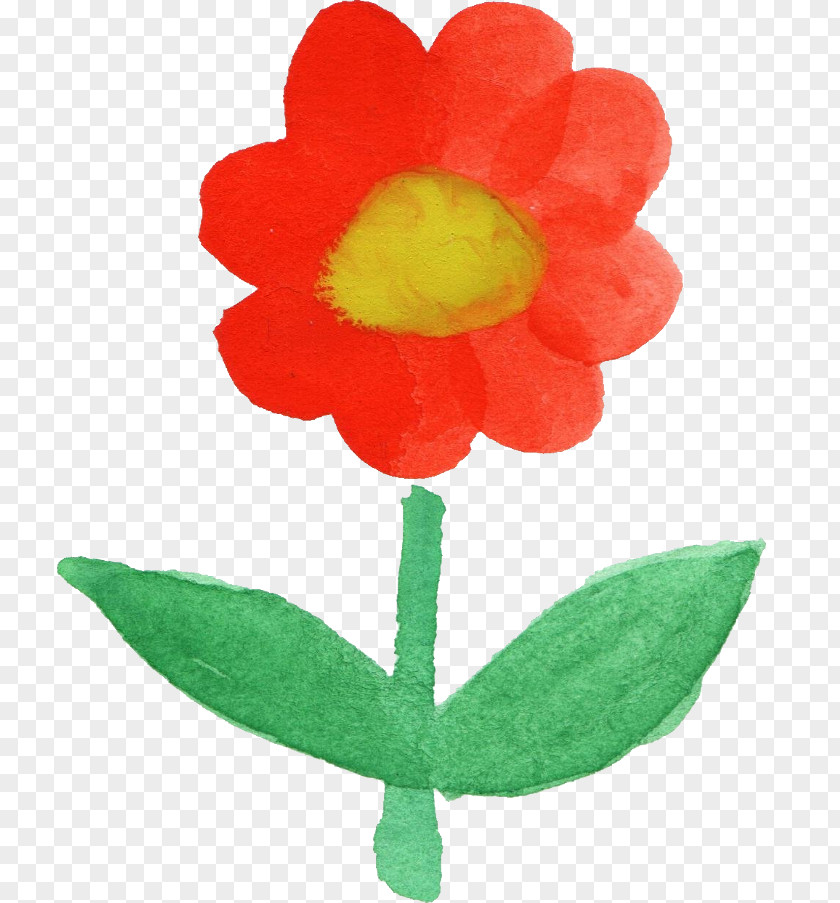 Watercolor Flower Painting Petal PNG