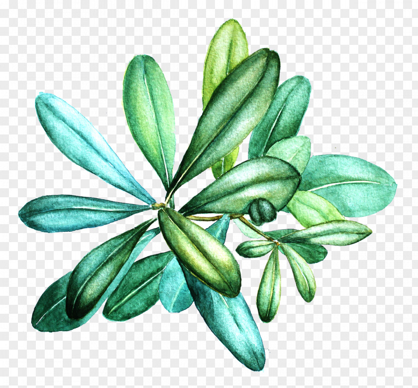 Watercolor Illustration London Leaf Flower PNG