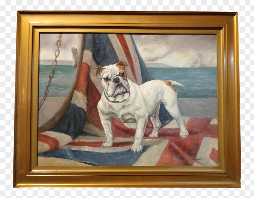 Bull Dog French Bulldog Breed Oil Painting PNG