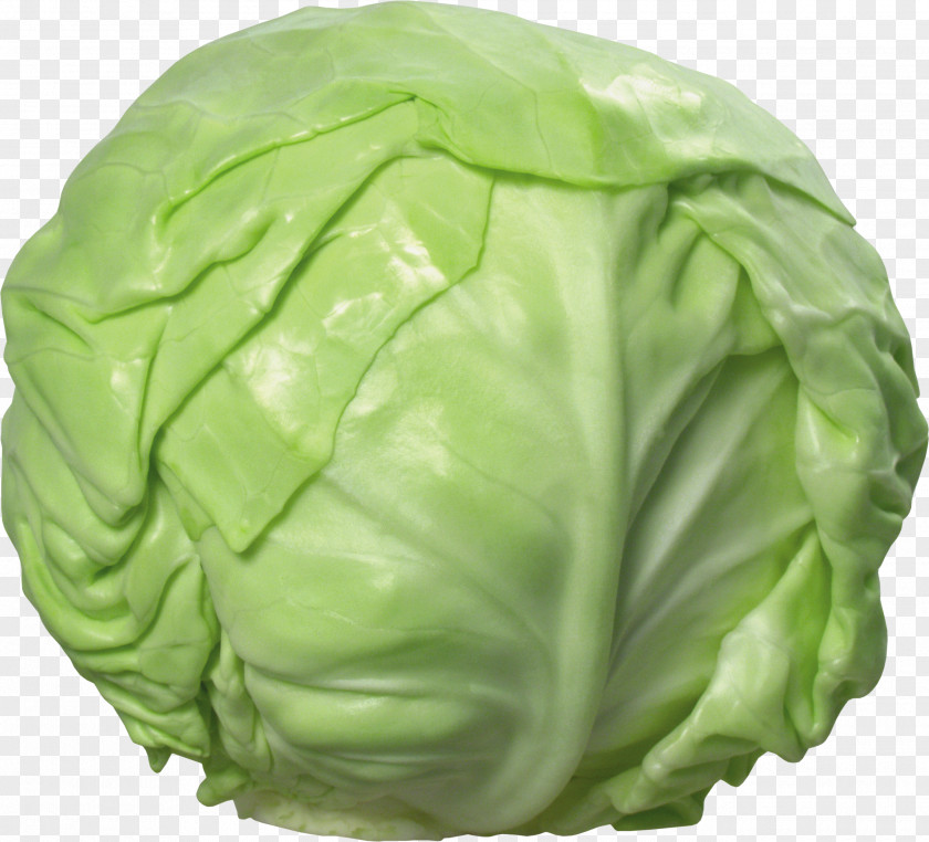 Cabbage Image Red Cauliflower Clip Art PNG