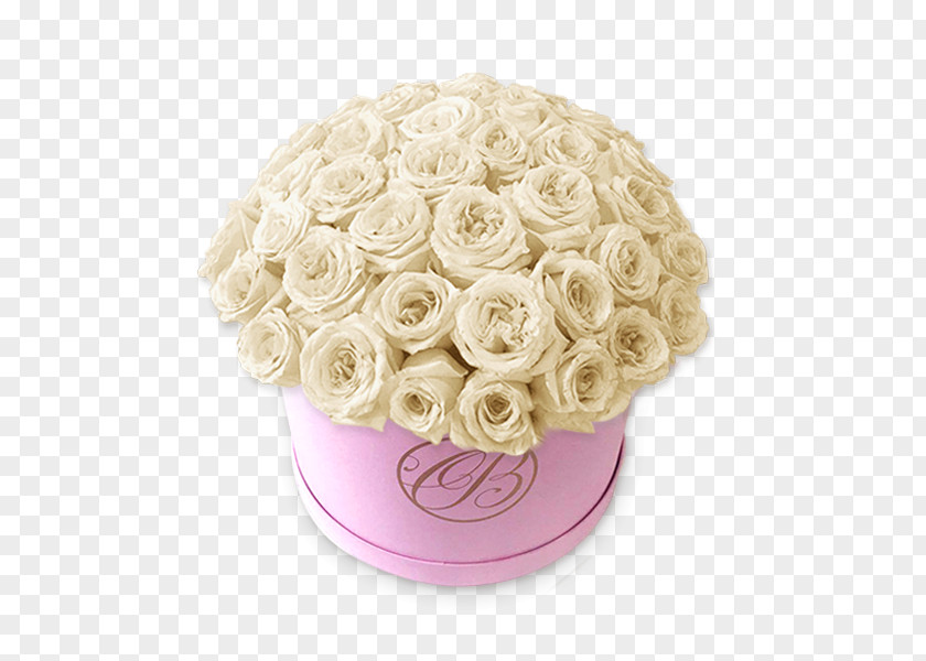 Flores Blancas Garden Roses Cut Flowers White PNG