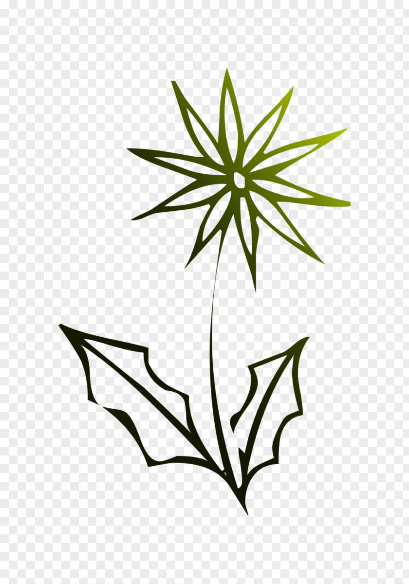 Flower Plant Stem Leaf Clip Art Line PNG