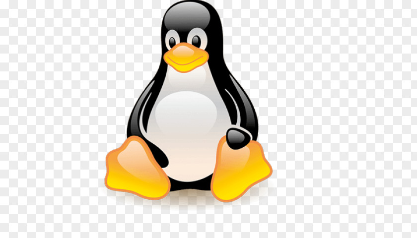 Penguin Tux Racer Linux Kernel PNG