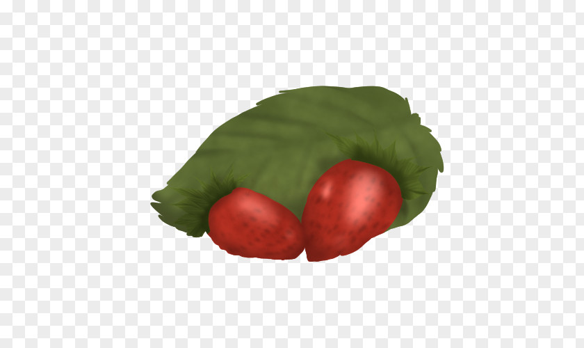 Vegetable Leaf Fruit PNG