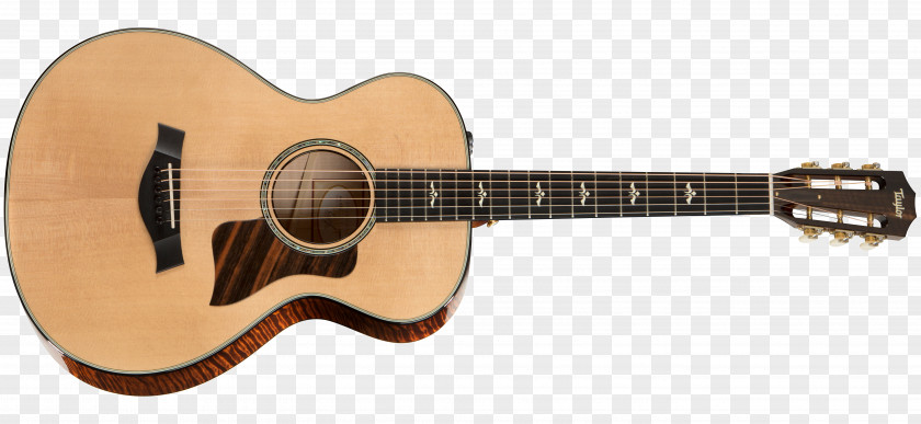 Acoustic Guitar Twelve-string Taylor Guitars Acoustic-electric String Instruments PNG