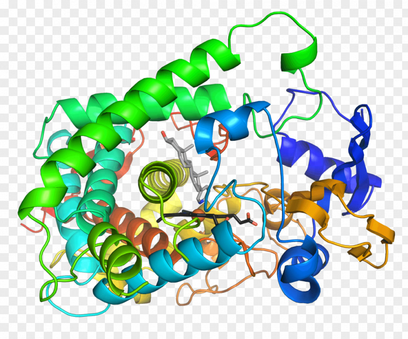 Biological Medicine Catalogue Enzyme Activation Energy Catalysis Cytochrome P450 Active Site PNG
