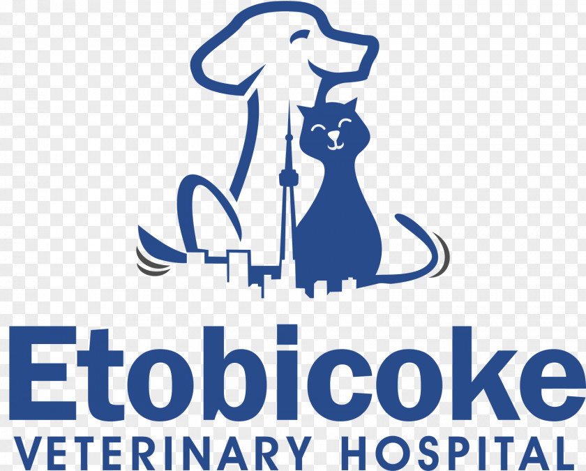 Dog Veterinarian Clinique Vétérinaire York Mills Animal Hospital Veterinary Medicine PNG