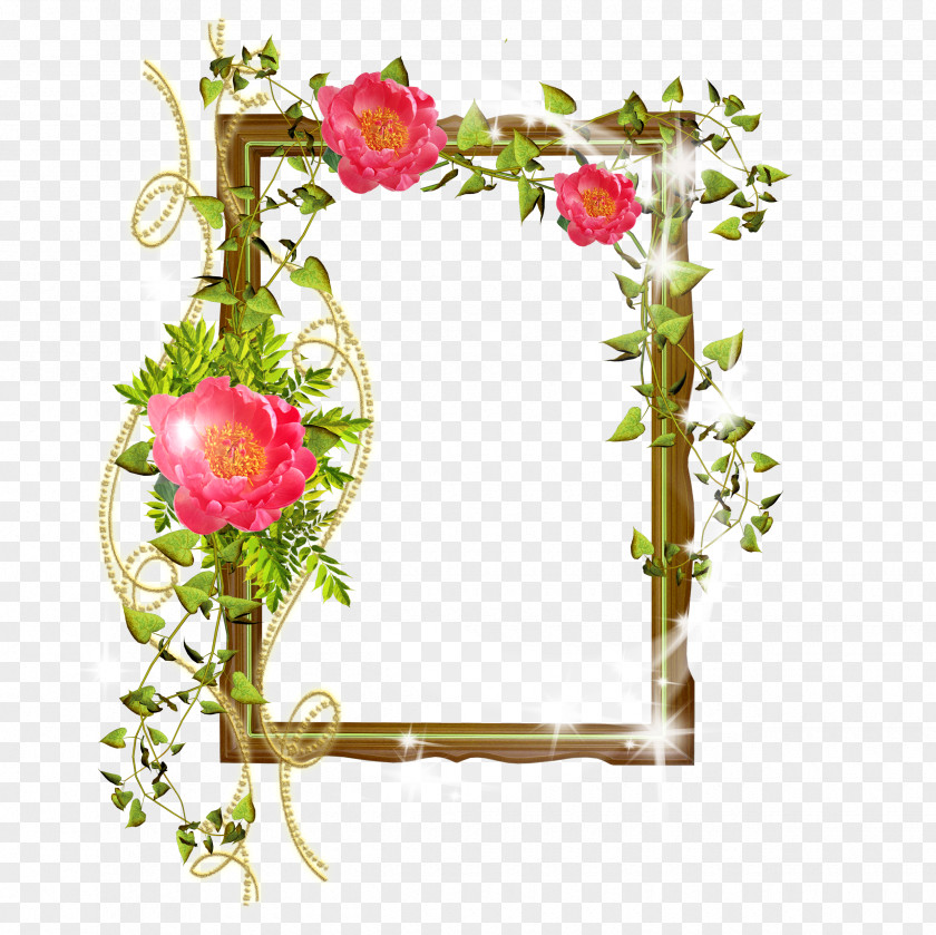Frame Picture Frames Flower Window Clip Art PNG