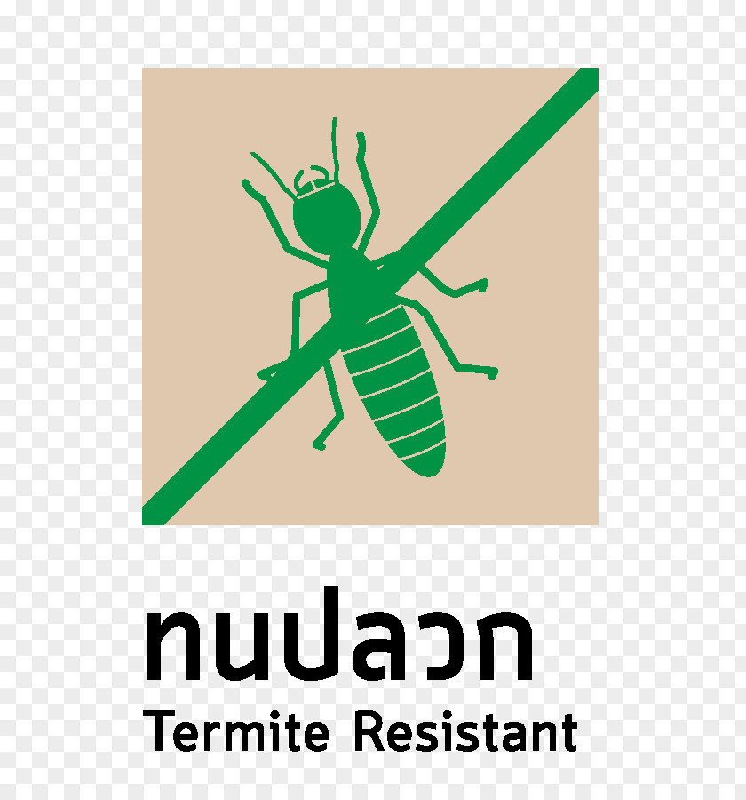 Insect Logo Graphic Design Brand Font PNG