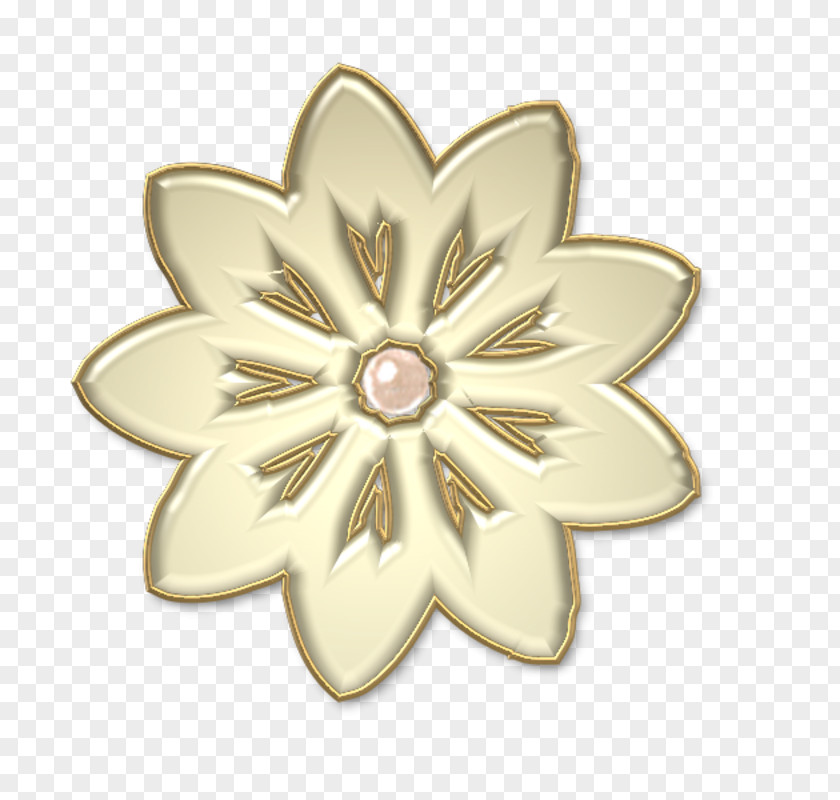 Jewellery Body Brooch PNG