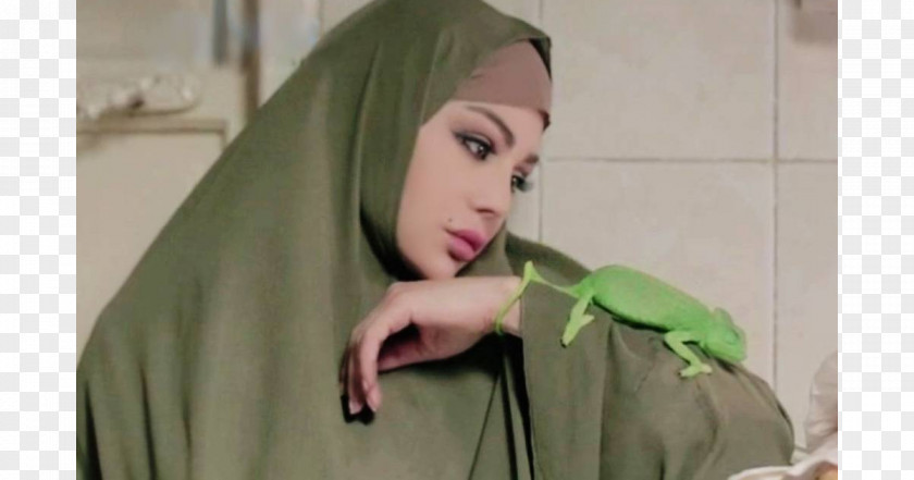 Syria Haifa Wehbe Al Herbaya Hijab Lebanon PNG