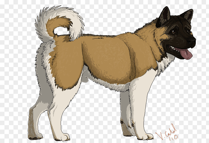 Akita Dog Breed East Siberian Laika West Shikoku PNG