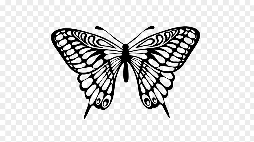 Butterfly Drawing Clip Art PNG