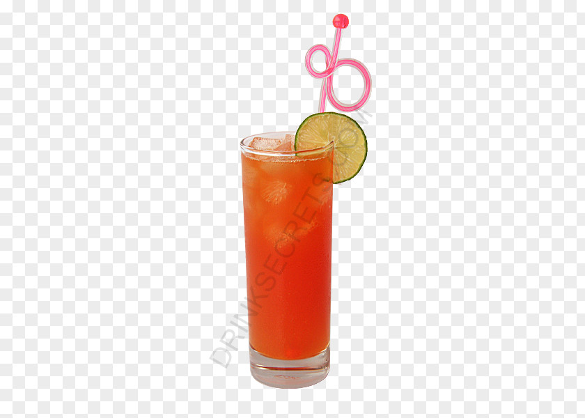 Cranberry Juice Sea Breeze Cocktail Garnish French Cuisine Woo PNG
