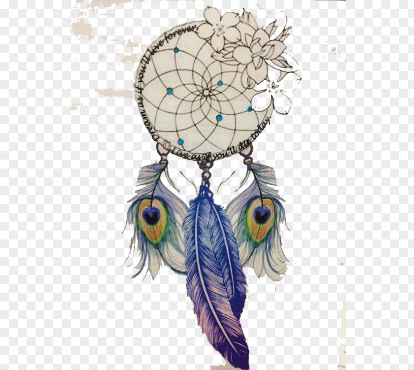 Dreamcatcher Drawing Feather Tattoo PNG