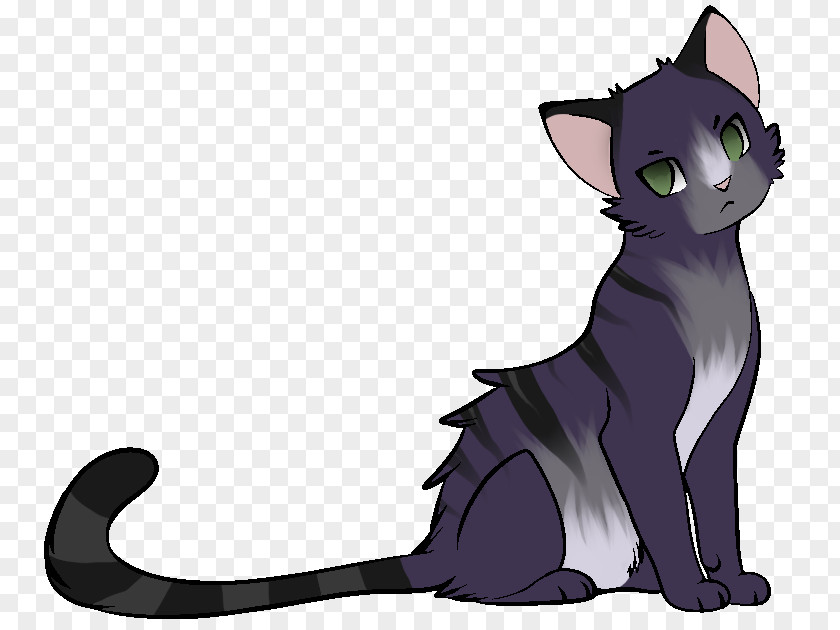 Milky Way Cat Kitten Felidae Gray Wolf Warriors PNG