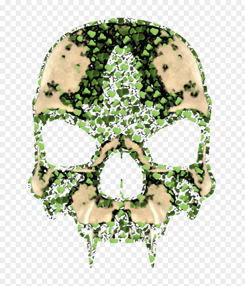 Skull Leaf PNG
