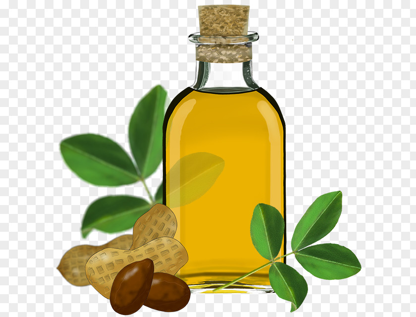 Sunflower Oil Soybean Peanut Olive PNG