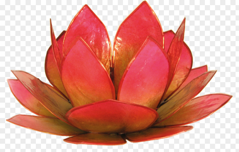 Candle Candlestick Bougeoir Nelumbo Nucifera Petal PNG