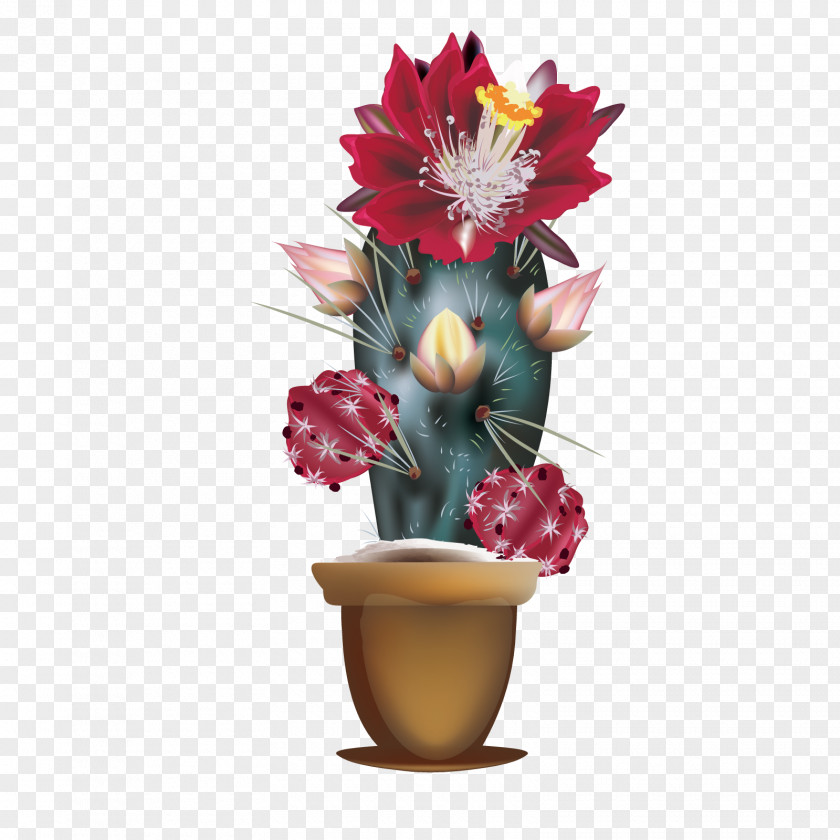 Vector Cactus Flowering Cactaceae PNG