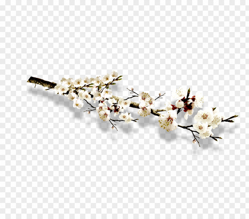 White Plum Branch Download Icon PNG