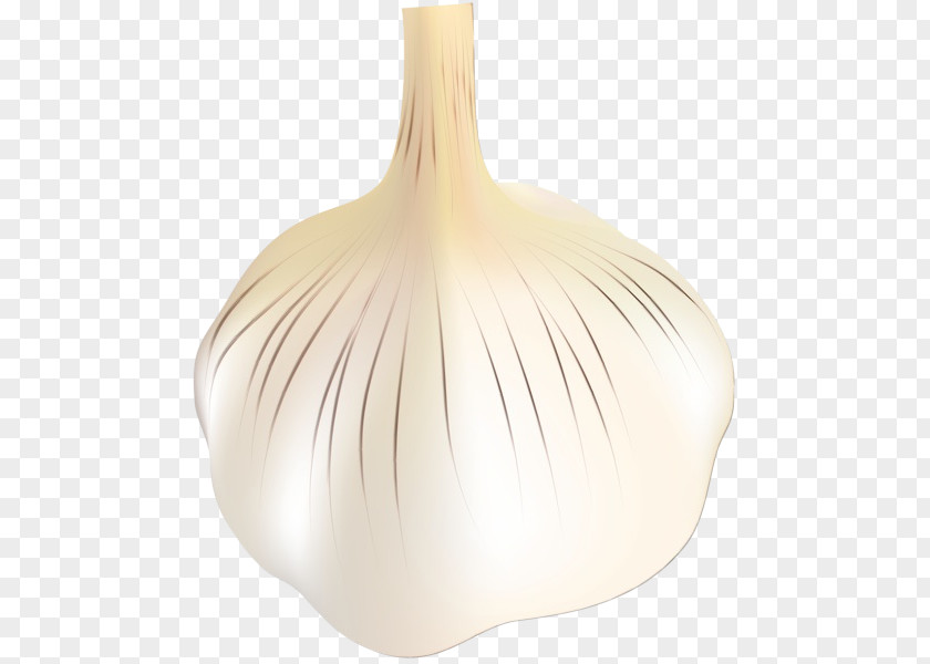 Artifact Amaryllis Family Garlic Elephant Onion Vegetable Allium PNG