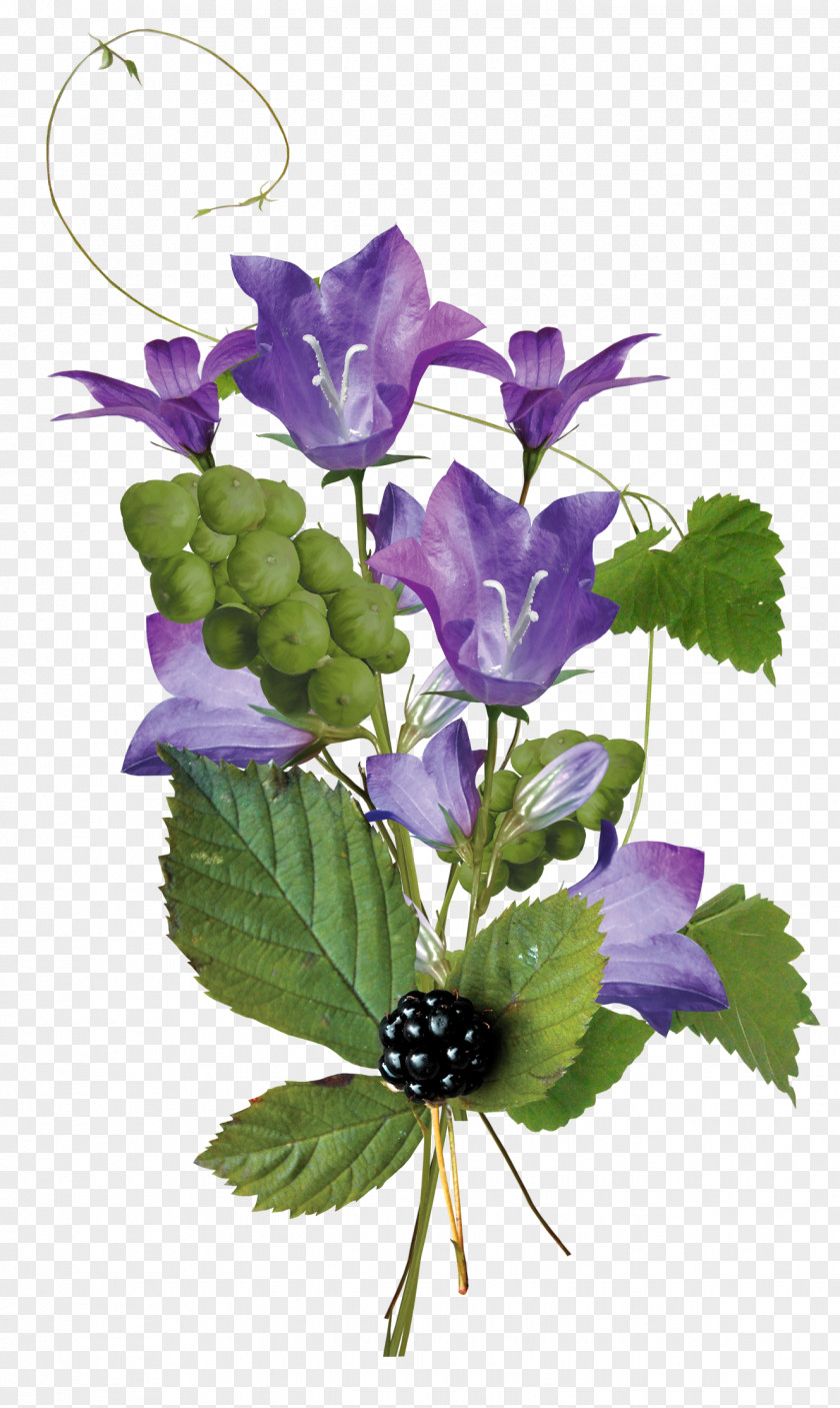 Blue Flowers Flower Bouquet Cut Floral Design Violet PNG