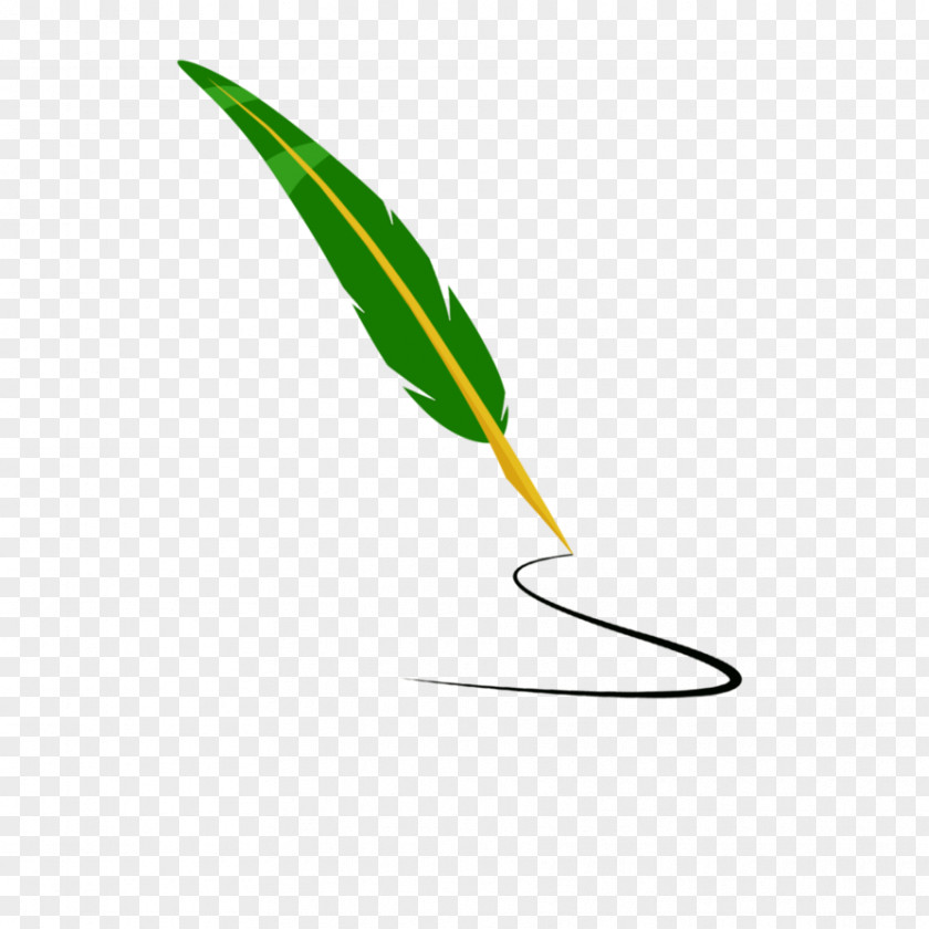 Feather Paper Quill Pen Clip Art PNG
