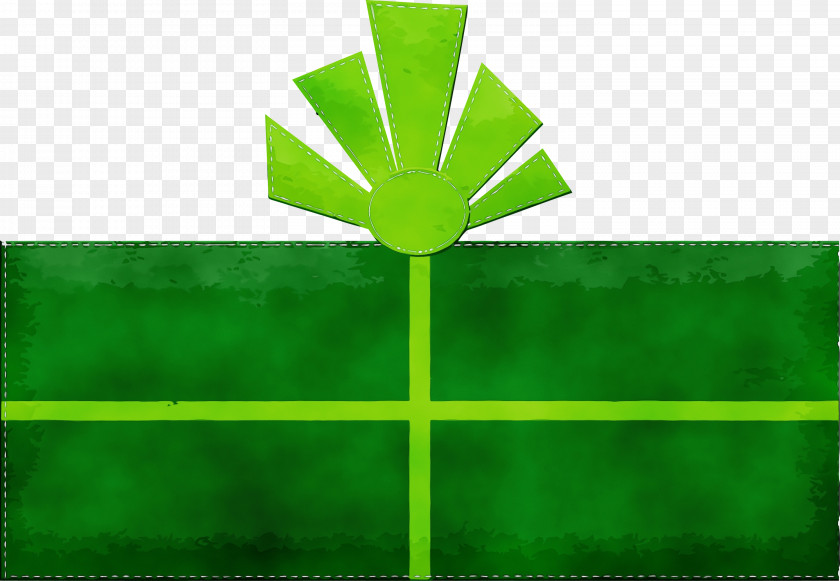 Green Leaf Flag Plant Grass PNG