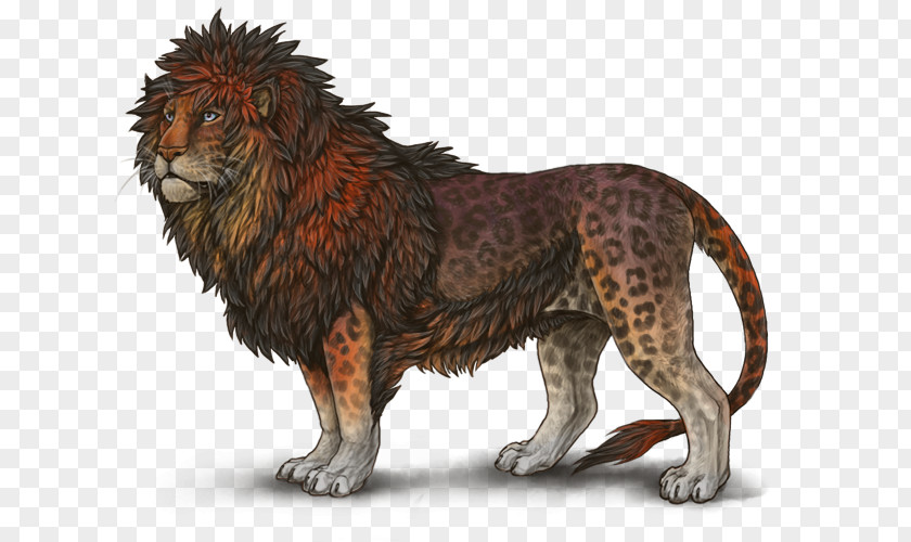 Lion Felidae Leopon Cat Tiger PNG