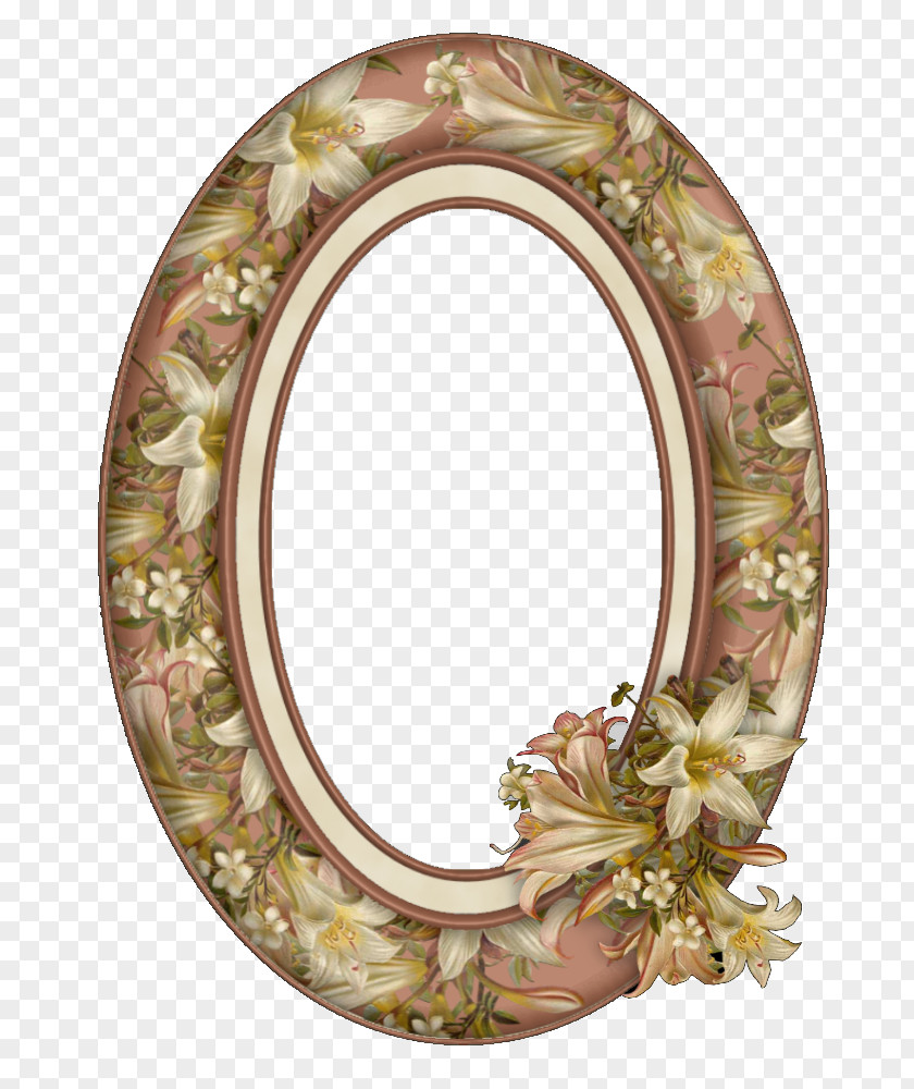 Picture Frames Photography Oval Mirror PNG