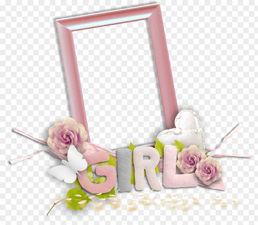 Picture Frames Pink M PNG