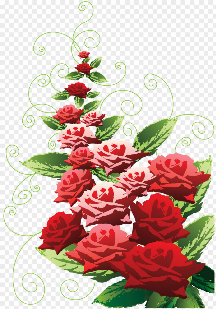 Rose Vector Garden Roses Flower Beach Clip Art PNG