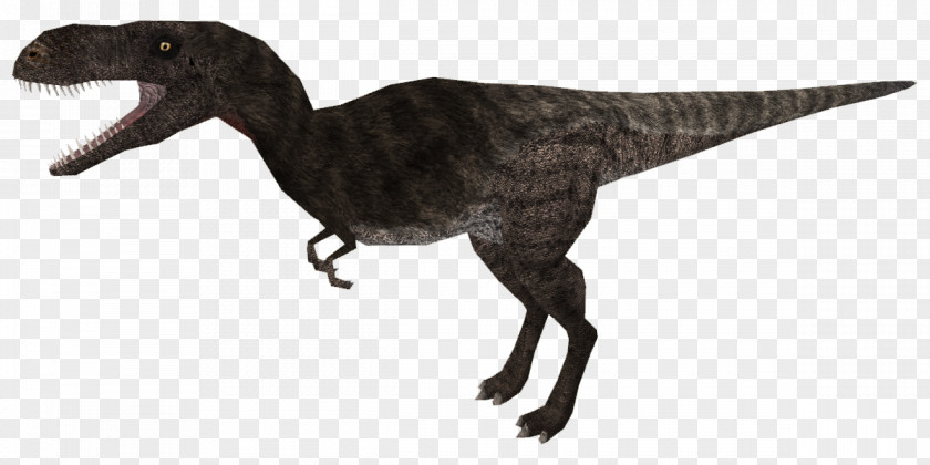 Skin Model Velociraptor Tyrannosaurus Extinction Animal PNG