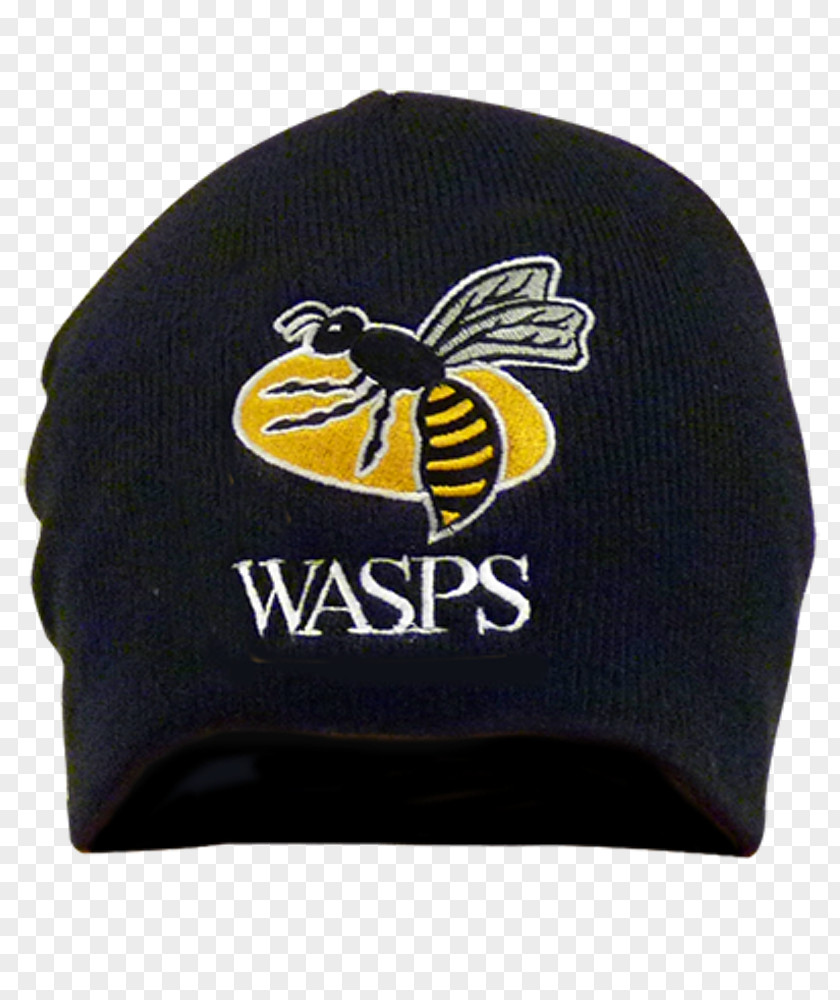 Black Hornet Ricoh Arena Wasps RFC Netball Superleague London Irish PNG