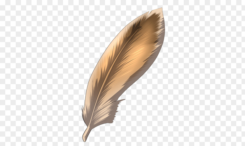 Brown Feathers Feather PNG