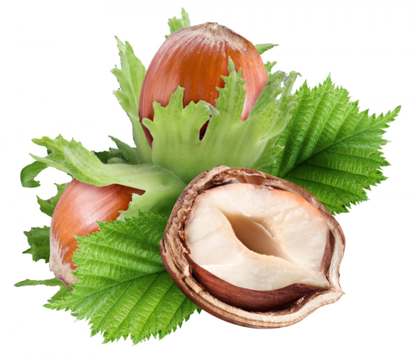 Walnut Hazelnut Nuts Nucule Pistachio PNG