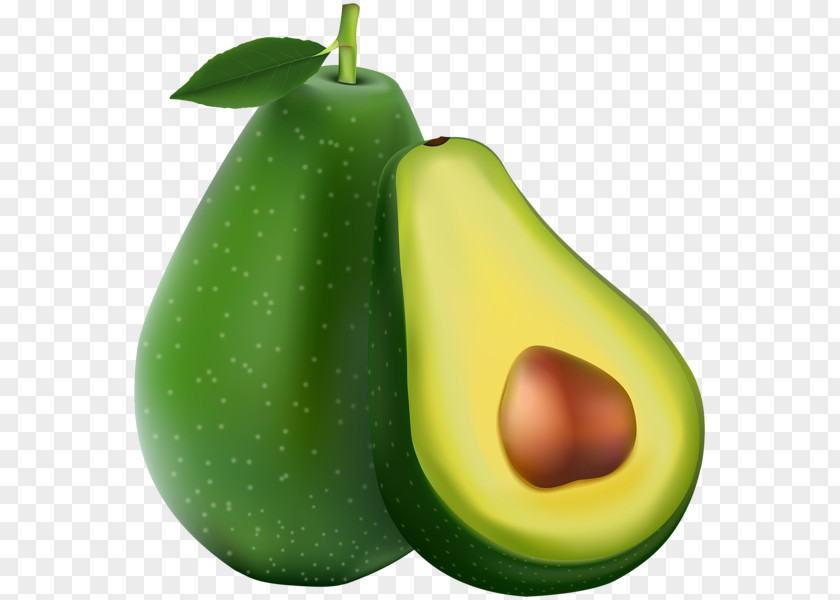 Avocado Food Clip Art PNG