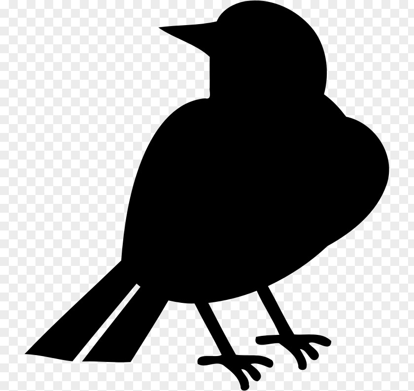 Bird Silhoutte Clip Art PNG