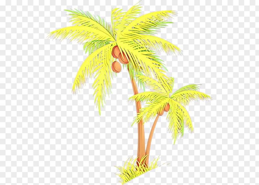 Coconut Palm Trees Plant Stem Date Leaf PNG