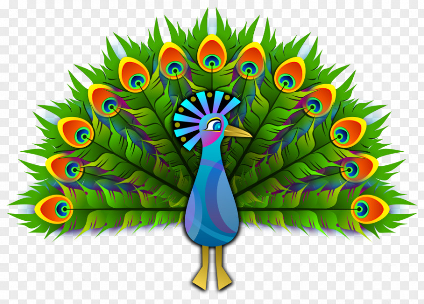 Free Peacock Clipart Peafowl Bird Drawing Clip Art PNG