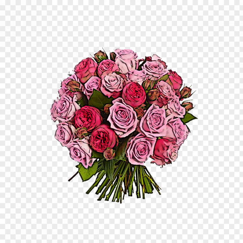 Garden Roses PNG