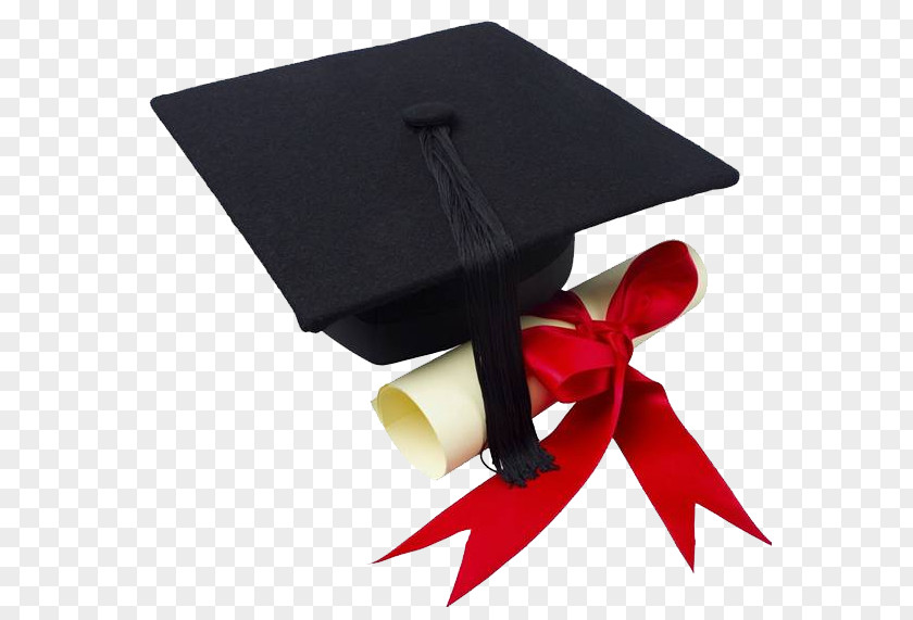 Hat Academic Degree Masters Graduation Ceremony Bachelors Clip Art PNG