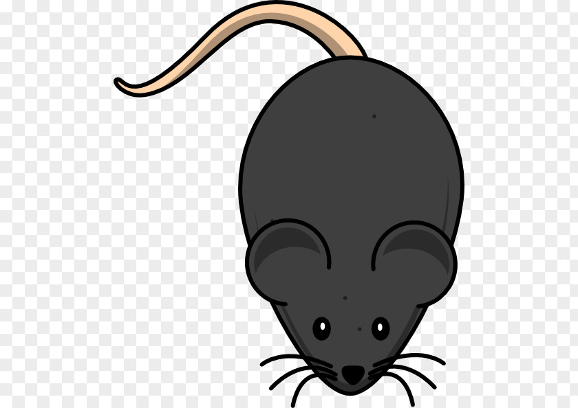 Mouse Clip Art Rodent Rat Vector Graphics PNG
